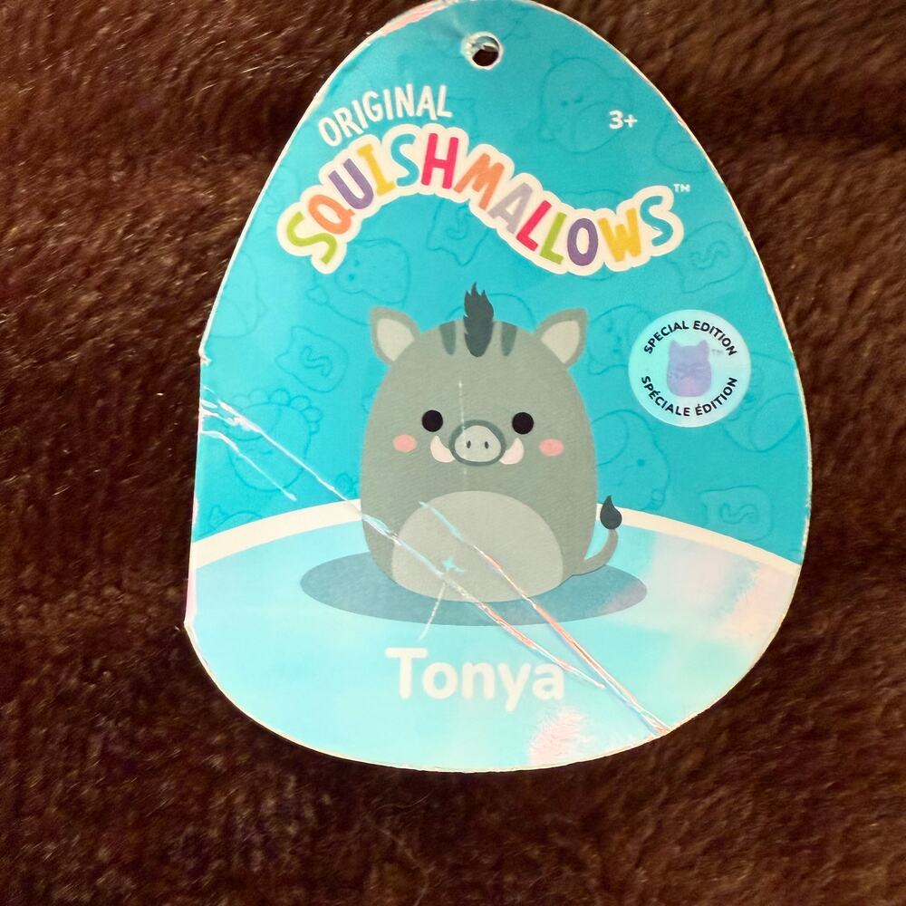 Squishmallows Tonya the Pig, MD Green Stuffed‎ Animal Plush Toy w/ Tag - Picture 4 of 5